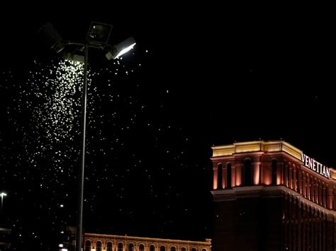 las vegas grasshoppers measuring thickness|Las Vegas Was Inundated by 46 Million .